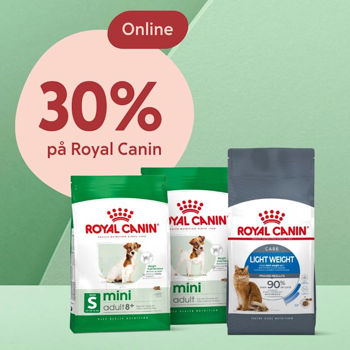 Tre påsar Royal Canin djurfoder för små hundar och katter visas med texten "30% på Royal Canin" i en rosa cirkel och en röd etikett med ordet "Online".