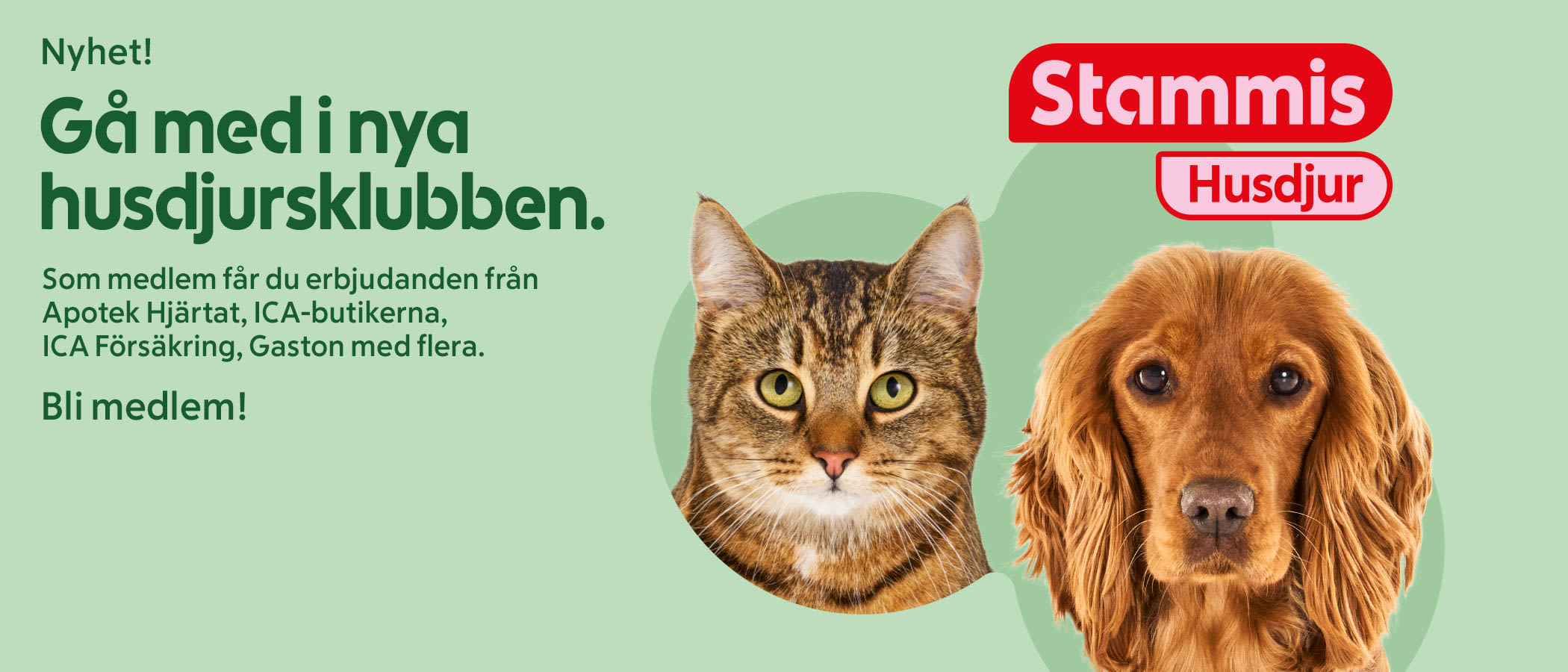 En brun fläckig katt och en rödbrun hund med långt, vågigt hår mot en ljusgrön bakgrund med text om ny husdjursklubb och medlemsförmåner.