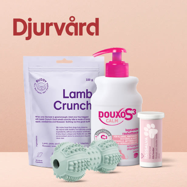 Tre djurvårdsprodukter inklusive en påse Lamb Crunch hundgodis, en flaska Douxo S3 Calm lugnande schampo och en burk Tassava tuggtabletter samt en grön tuggleksak mot beige bakgrund.